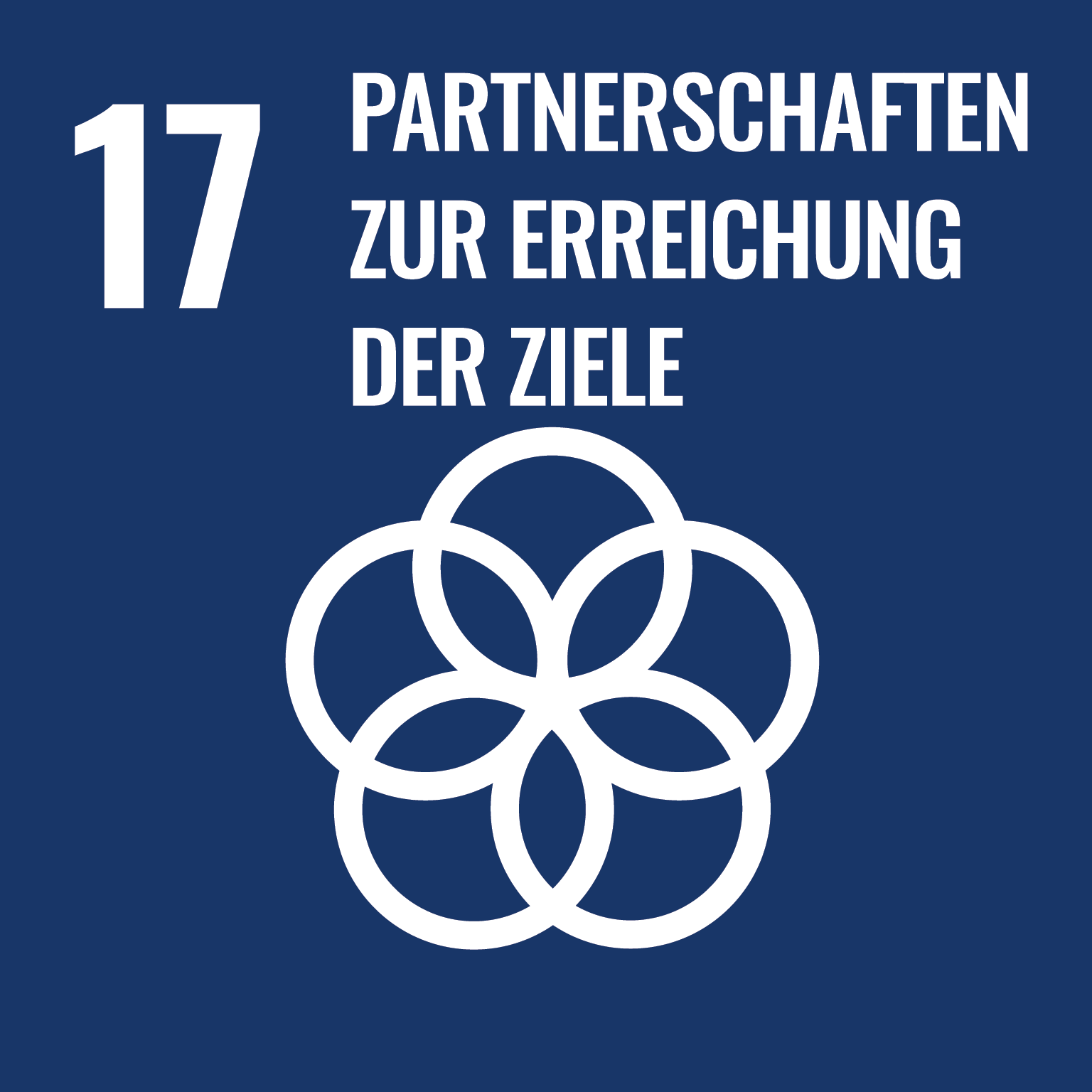 SDG 17 - Partnerships for the Goals